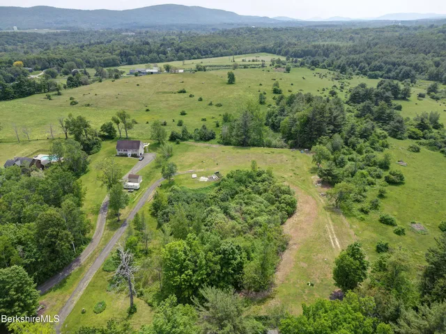 an aerial view of green landscape with trees houses and mountain view