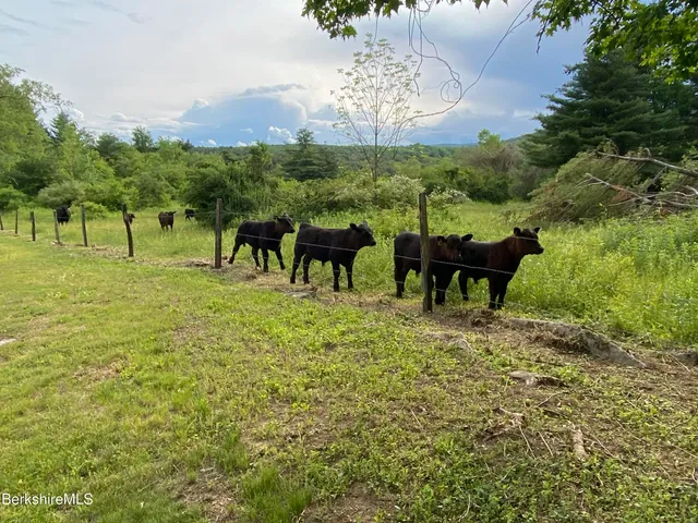 a view of a fountain in the backyard of a house