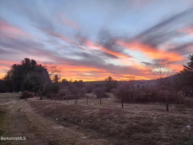 a view of a field with trees in background
