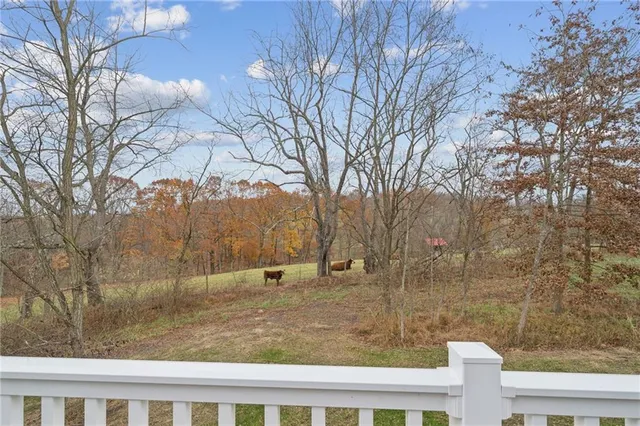 a view of a yard with a tree