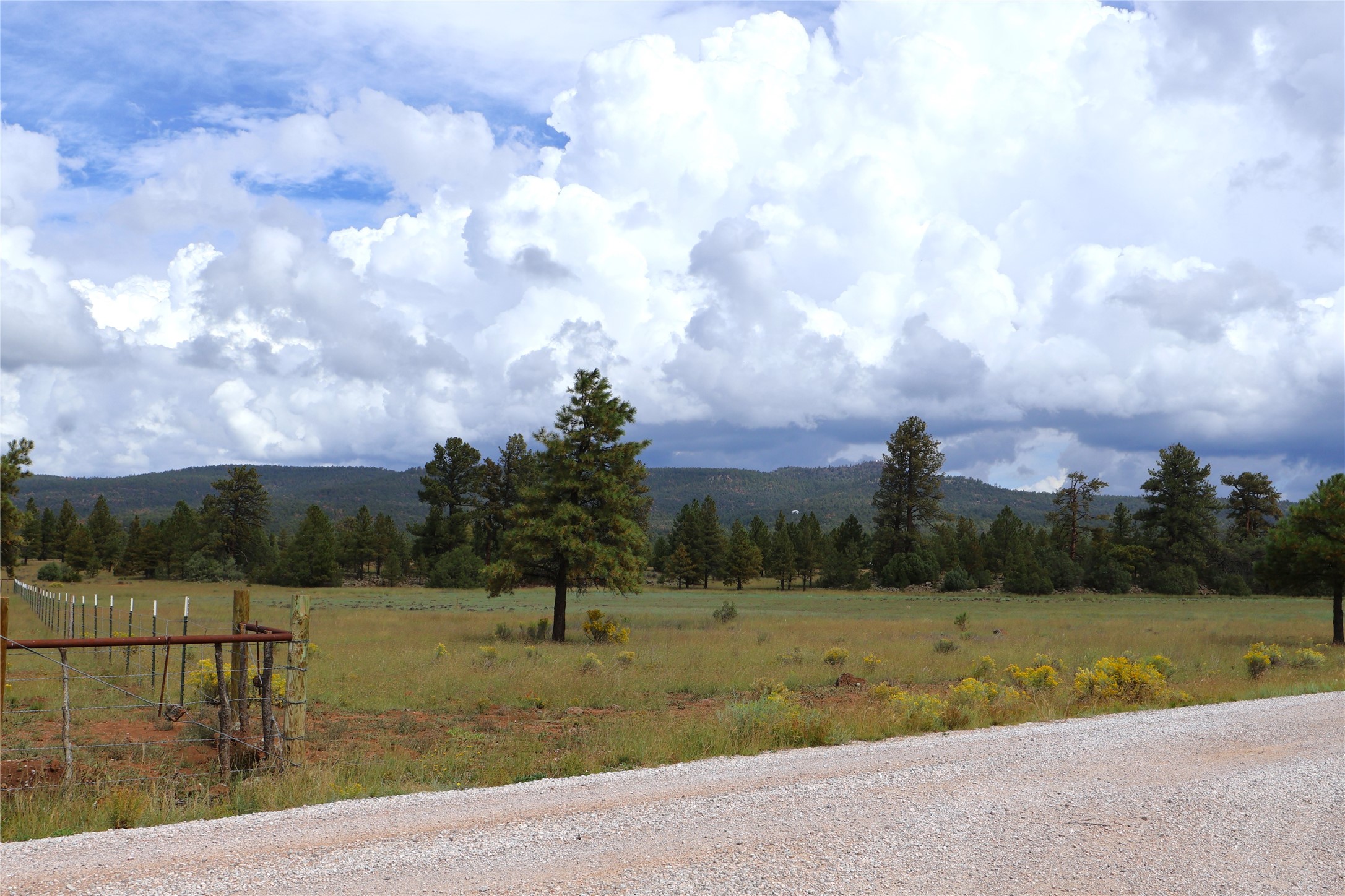 Lot 44 Rhyolite Road Grants, NM 87020 - Photo 28 of 31 Gallery Image 28