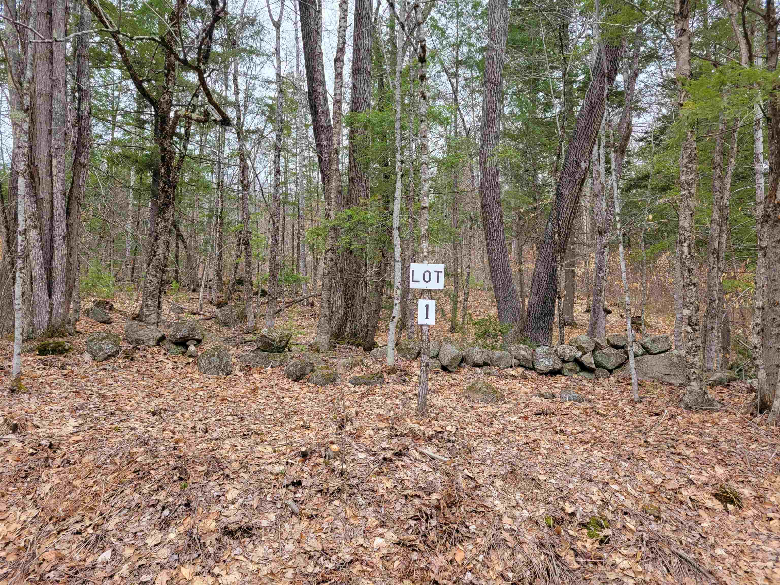 582-1 West Fryeburg Road Fryeburg, ME 04037 - Photo 1 of 3 Gallery Image 1