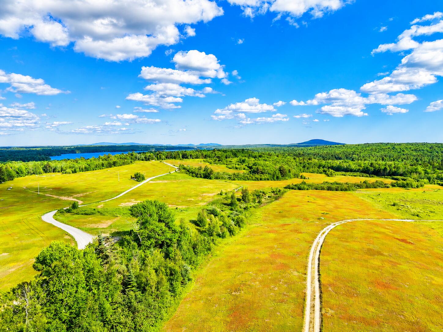 Map19-lot28 Leach Road Penobscot, ME 04476 - Photo 15 of 16 MAP19LOT28 Leach Road