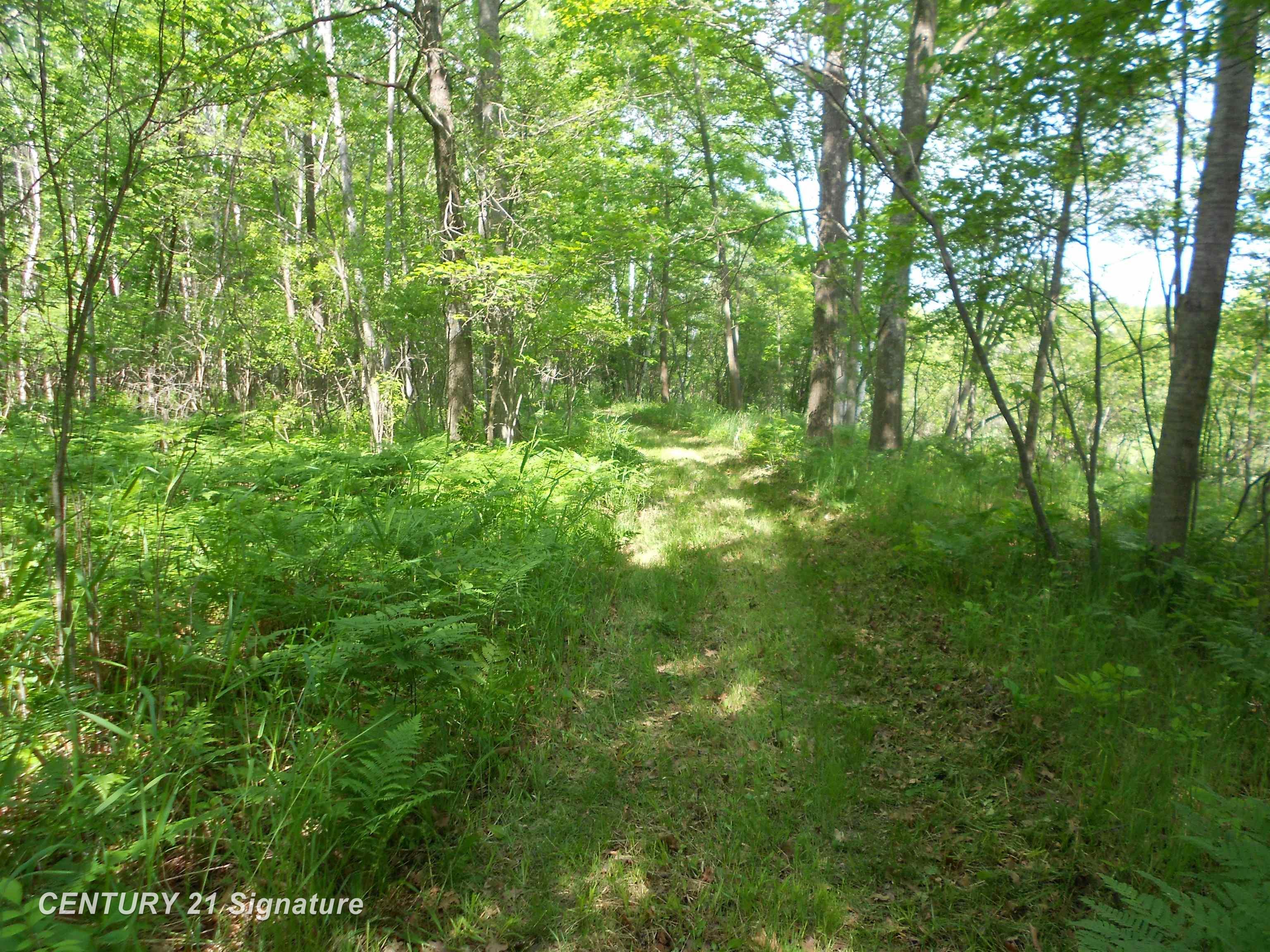 5185 Henderson Lake Road Prescott, MI 48756 - Photo 24 of 39 50116528-21.JPG