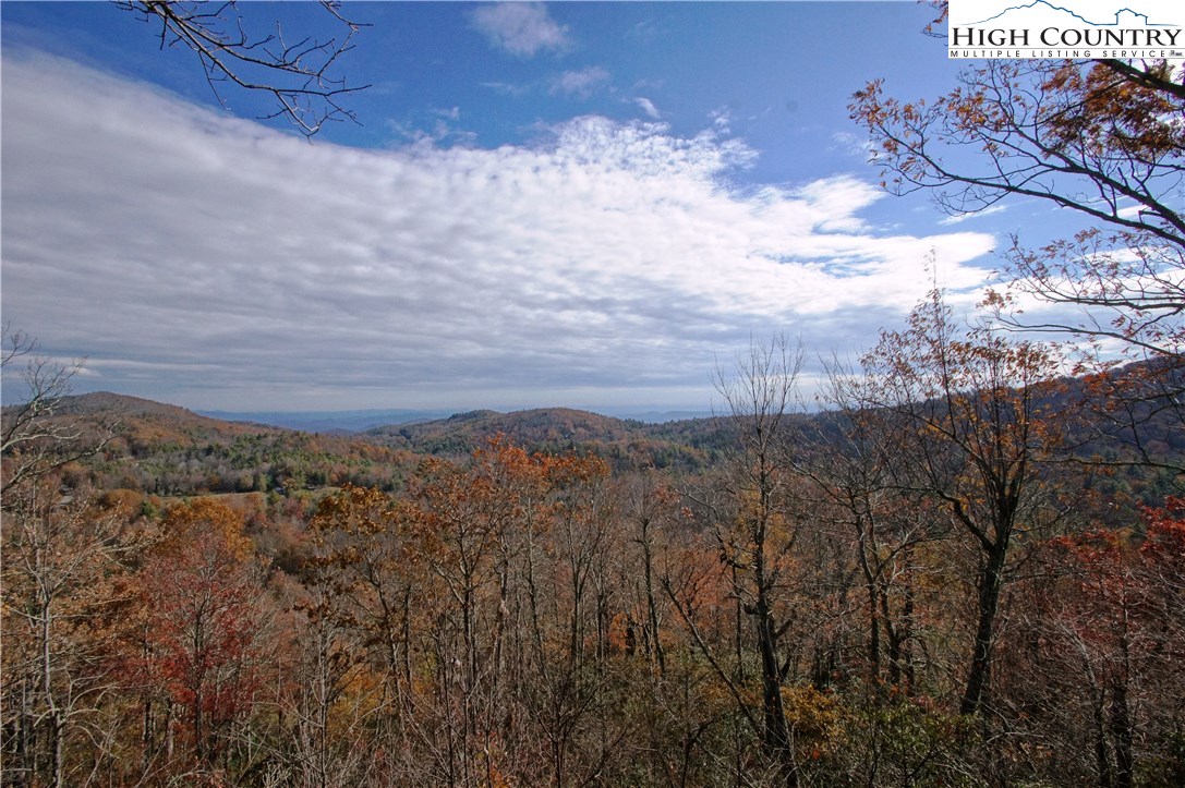 Martin Road Newland, NC 28657 - Photo 1 of 10 Gallery Image 1