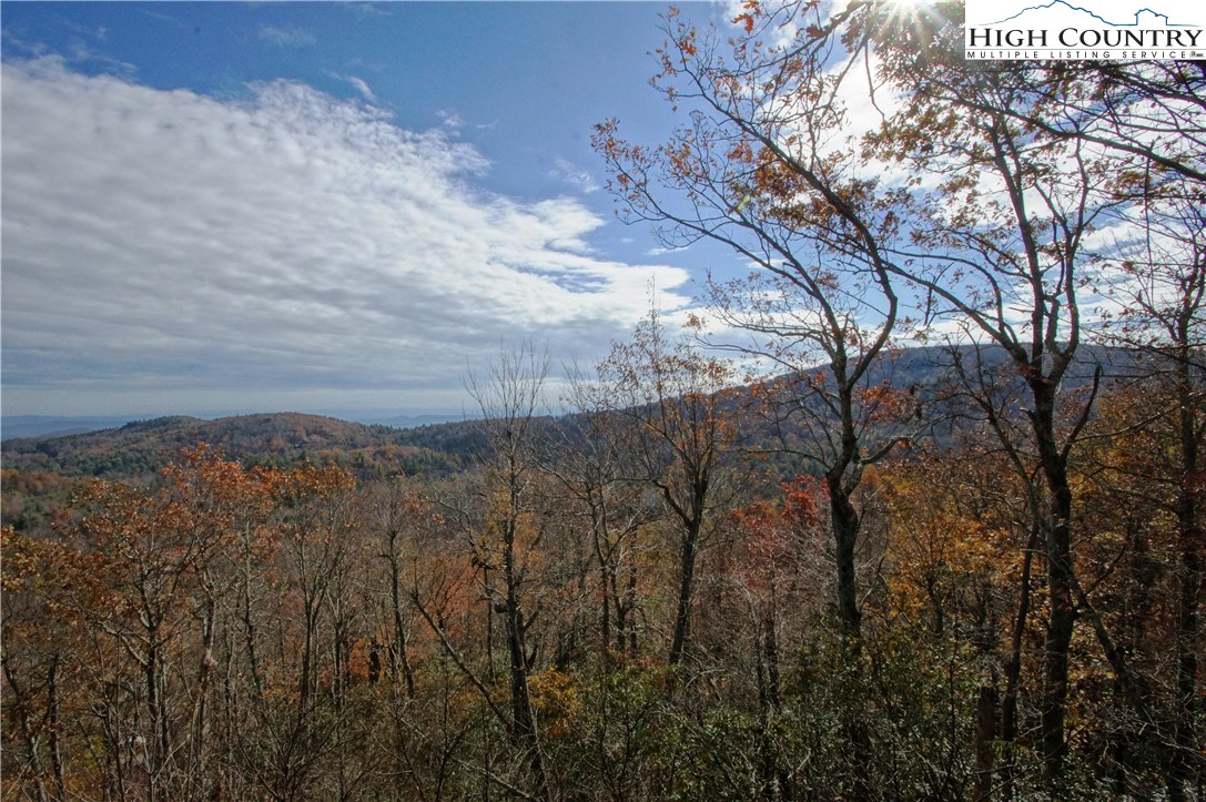 Martin Road Newland, NC 28657 - Photo 3 of 10 Gallery Image 3