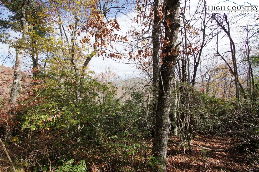 Martin Road Newland, NC 28657 - Photo 8 of 10 Gallery Image 8