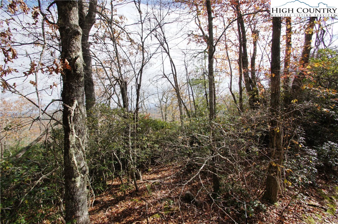 Martin Road Newland, NC 28657 - Photo 9 of 10 Gallery Image 9