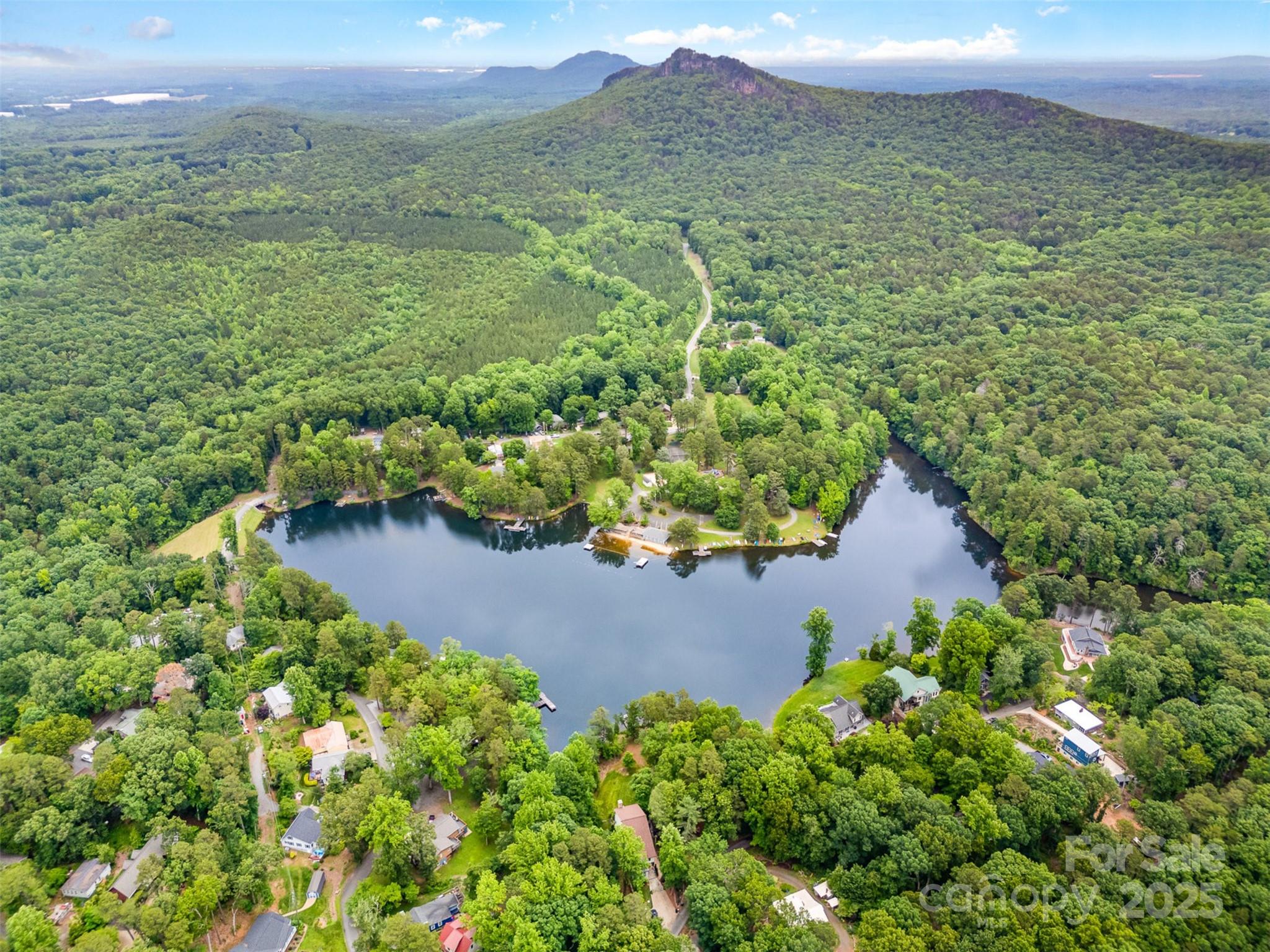 a view of a lake with a mountain in the background