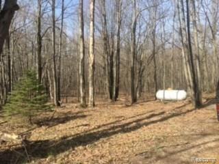 9430 East Long Lake Road Harrison, MI 48625 - Photo 16 of 22 Gallery Image 16