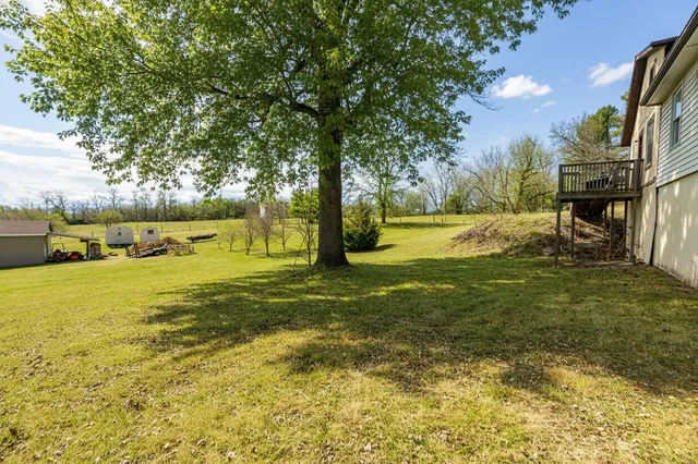 a view of a yard with trees