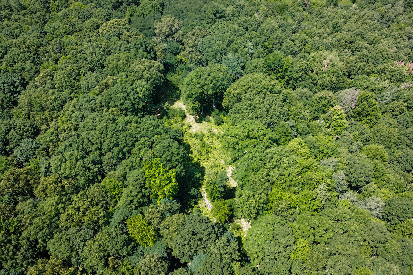 V/l North Mill Iron Road Muskegon, MI 49442 - Photo 10 of 21 DJI_0123