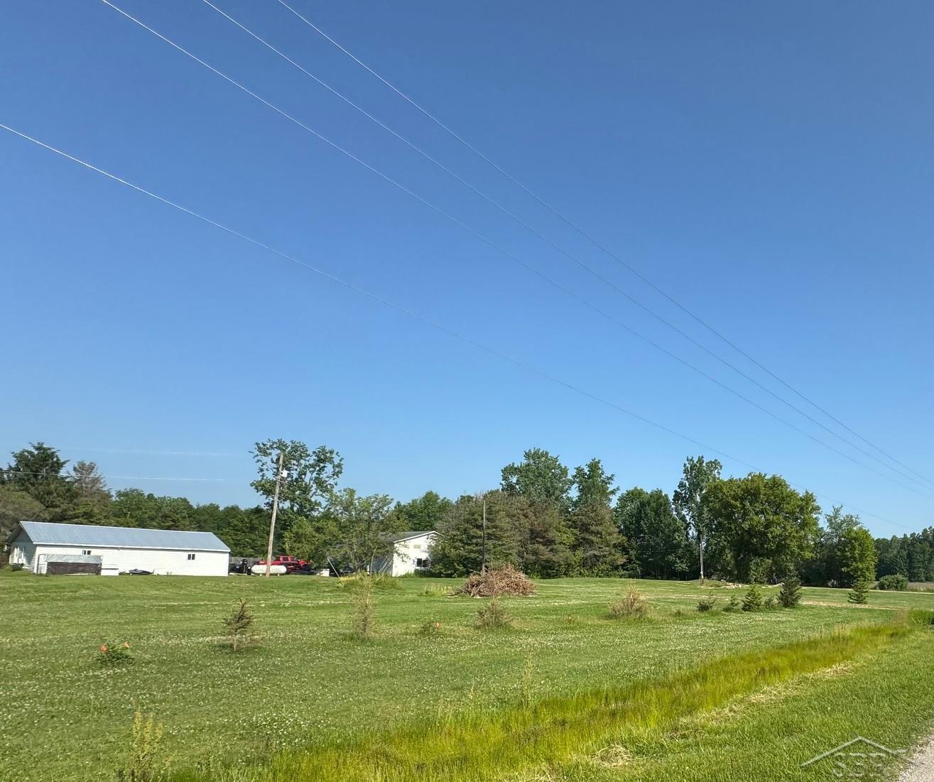 14382 South Chapin Road Elsie, MI 48831 - Photo 4 of 6