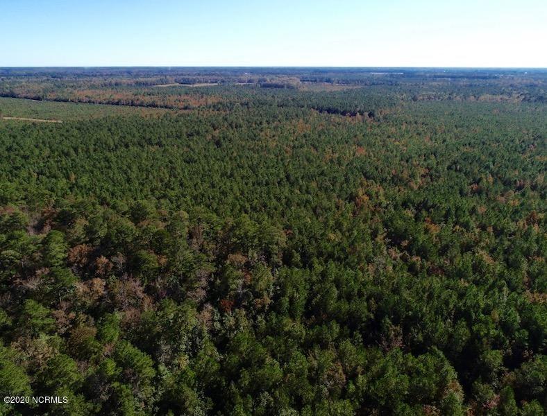 910 Mill Road Washington, NC 27889 - Photo 100 of 101 Woods