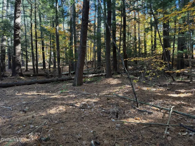 $129,000 | Lot 3 North Bolton Road, Bolton Landing, NY 12814