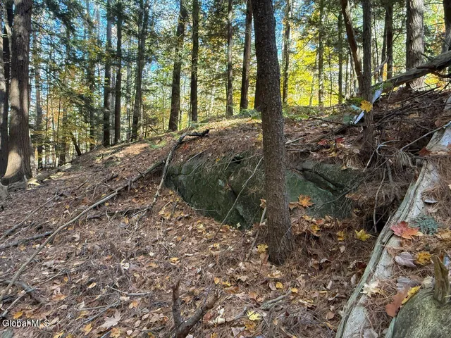 $129,000 | Lot 3 North Bolton Road, Bolton Landing, NY 12814