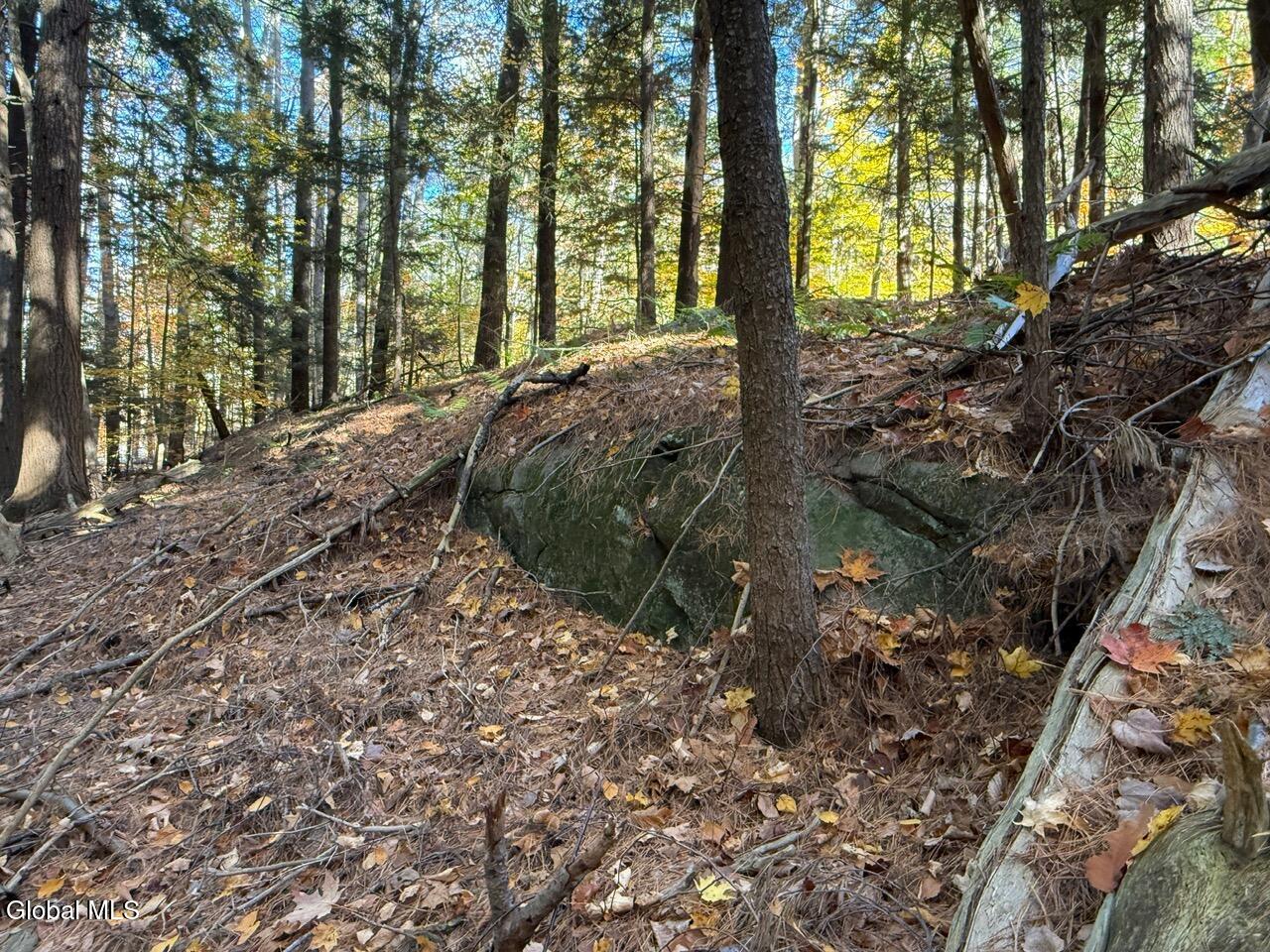 Lot 3 North Bolton Road Bolton Landing, NY 12814 - Photo 13 of 14 IMG_2396 (1)