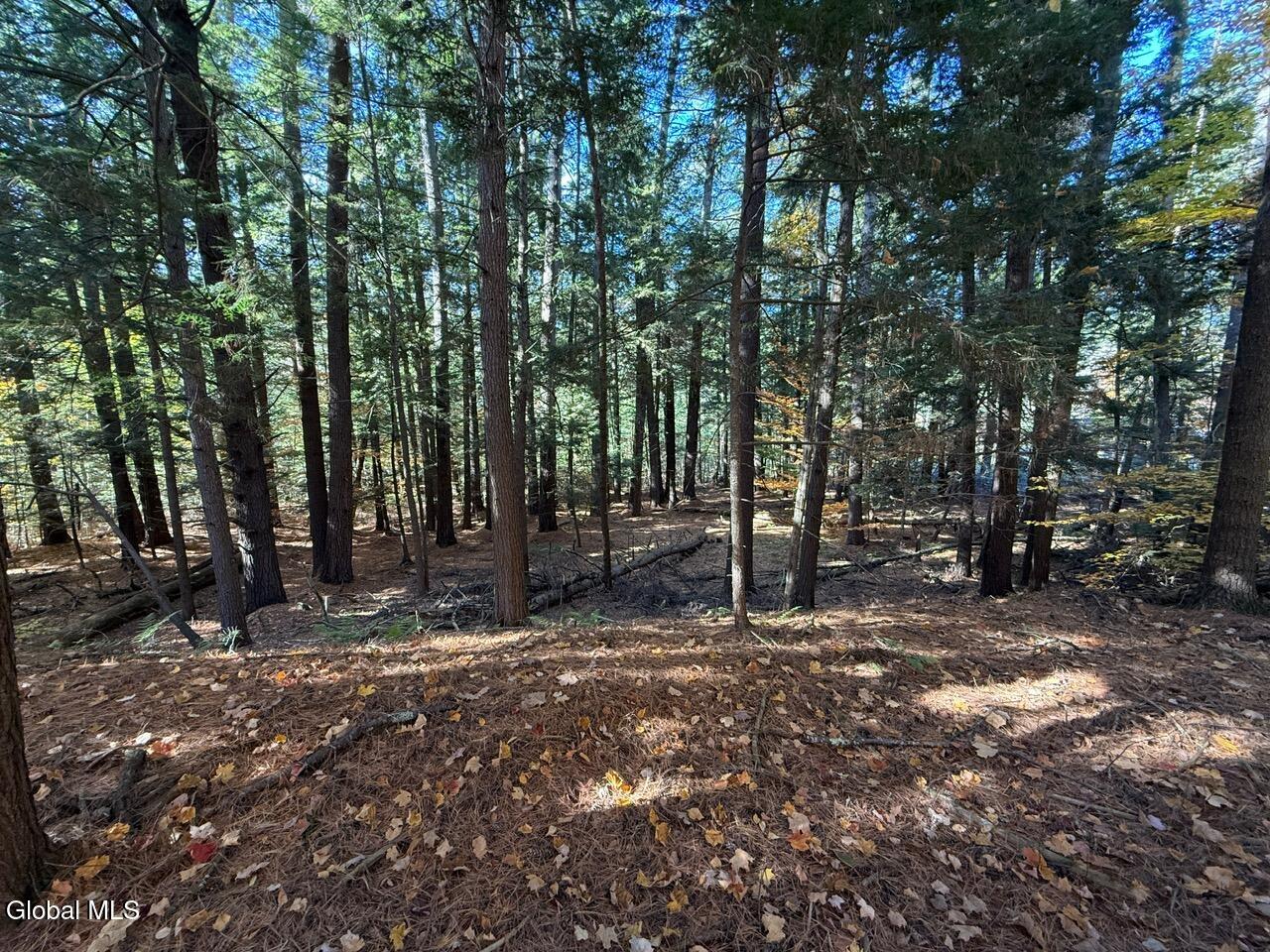 Lot 3 North Bolton Road Bolton Landing, NY 12814 - Photo 14 of 14 IMG_2397 (1)