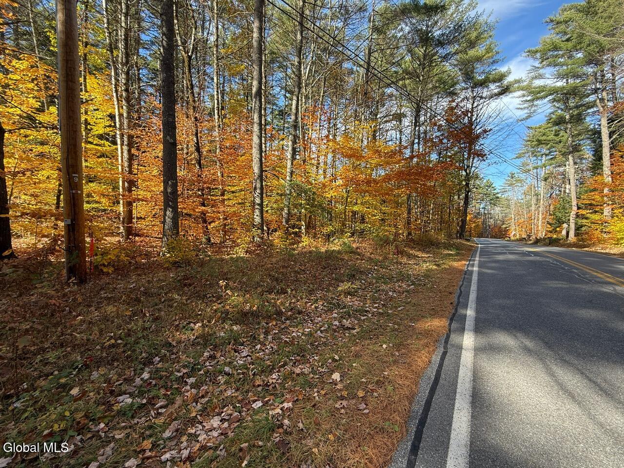 Lot 3 North Bolton Road Bolton Landing, NY 12814 - Photo 7 of 14 IMG_2389 (1)
