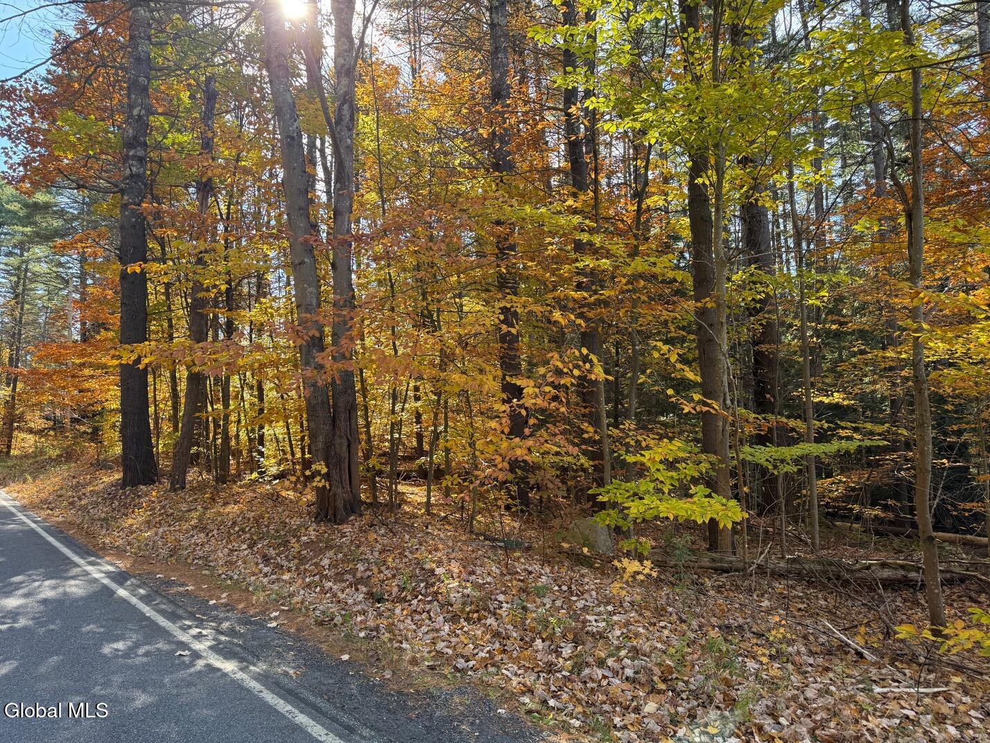 Lot 3 North Bolton Road Bolton Landing, NY 12814 - Photo 8 of 14 IMG_2391 (1)