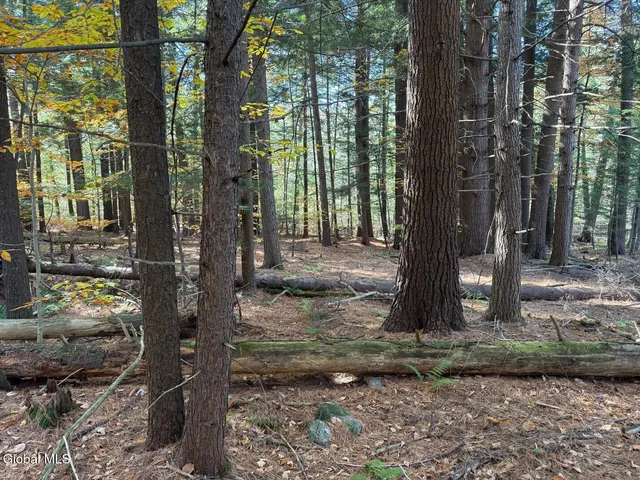 $129,000 | Lot 3 North Bolton Road, Bolton Landing, NY 12814