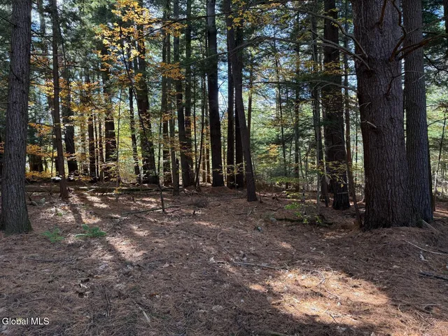$129,000 | Lot 3 North Bolton Road, Bolton Landing, NY 12814