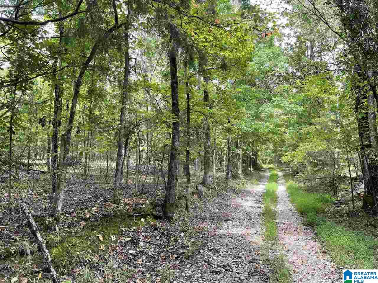 1185 Stage Coach Road, Unit 1 Alabaster, AL 35007 - Photo 1 of 2