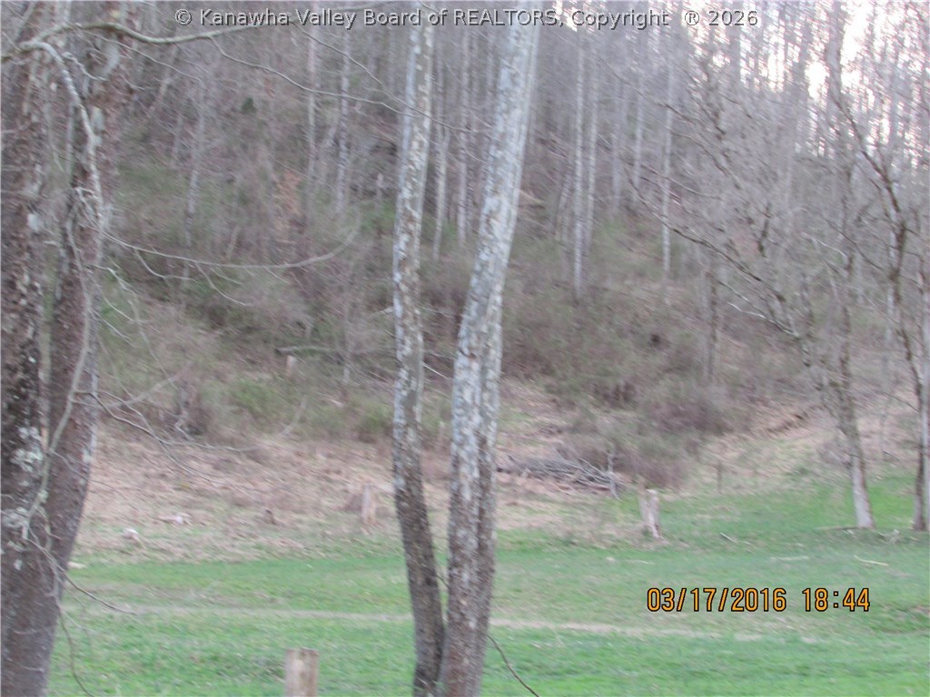 3937 North Grapevine Road Charleston, WV 25320 - Photo 25 of 26 Gallery Image 25