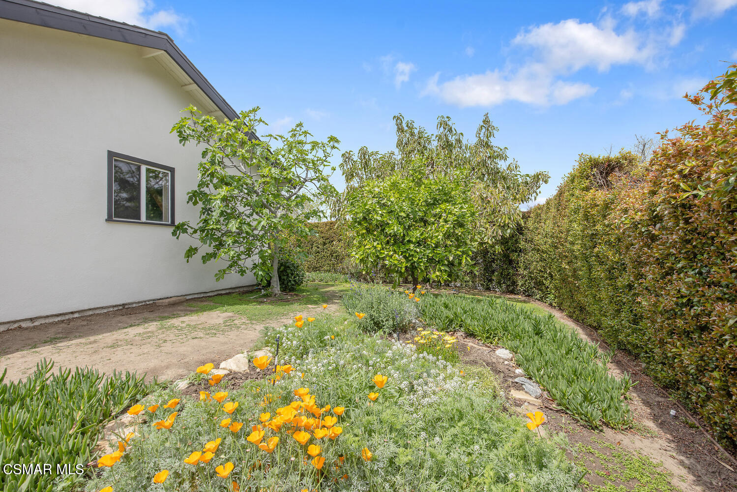 6657 Quartz Avenue Winnetka, CA 91306 - Photo 23 of 26 a front view of a house with a yard