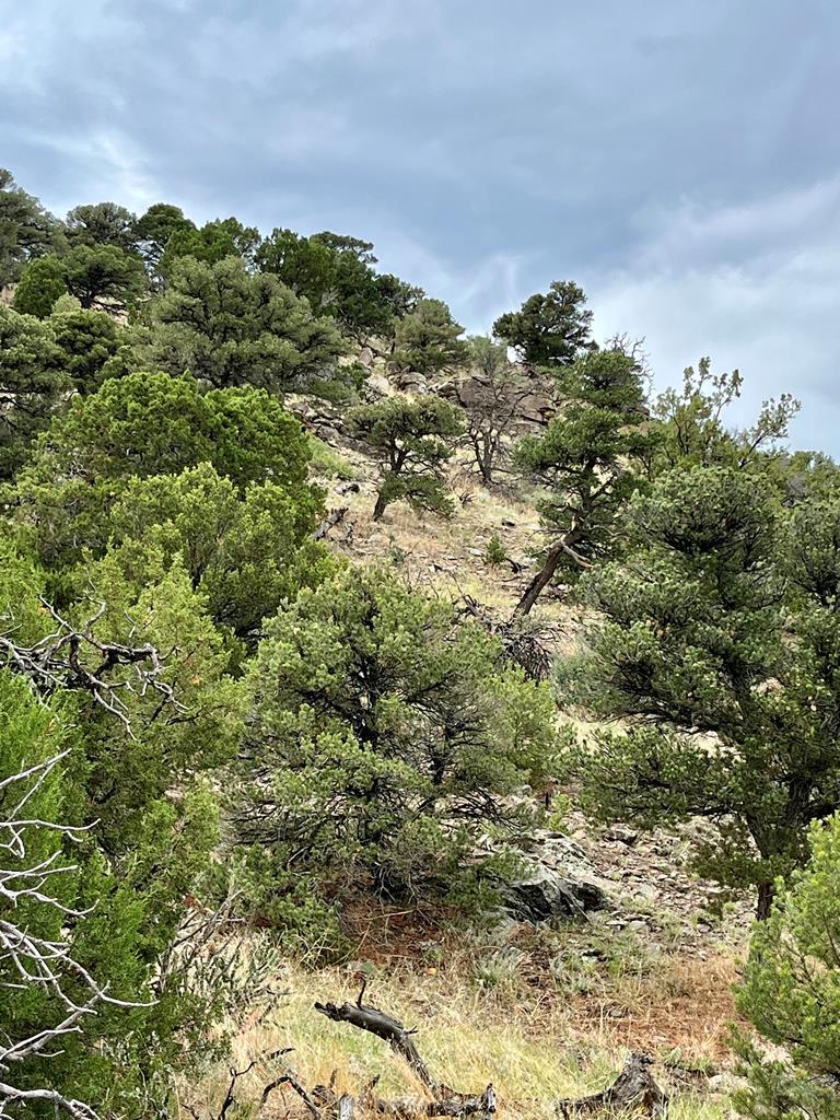 Tbd Ketchum Road Walsenburg, CO 81089 - Photo 13 of 22