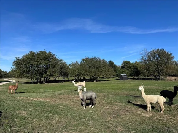 $518,000 | 4081 Farm To Market Road 2736, Unit D, Campbell, TX 75422