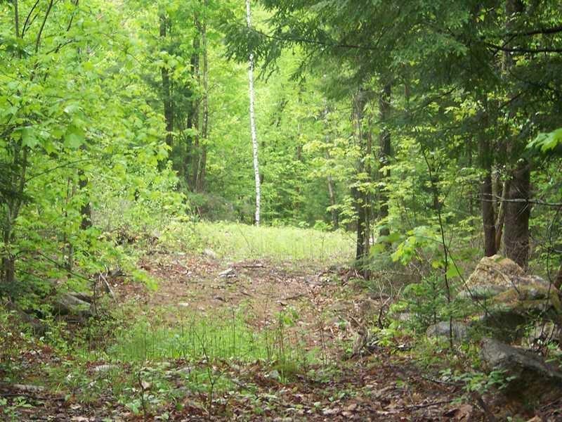 Lot 1 A Spring Road West Newfield, ME 04095 - Photo 13 of 16 Photo