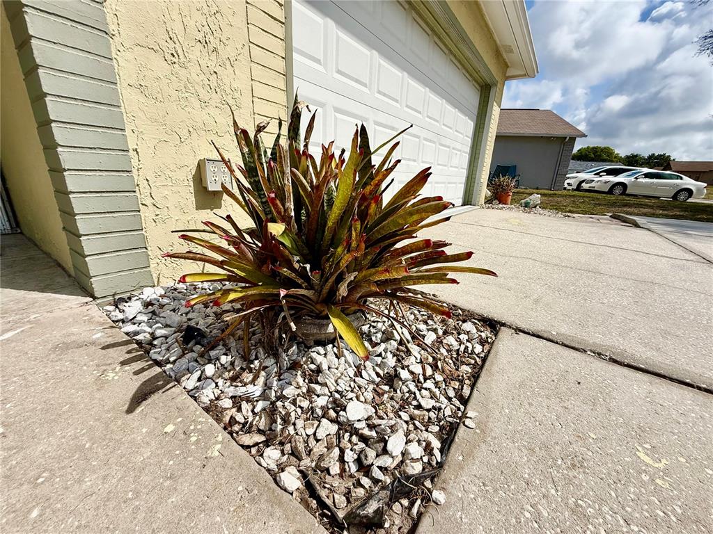 7607 Vienna Lane Port Richey, FL 34668 - Photo 43 of 44