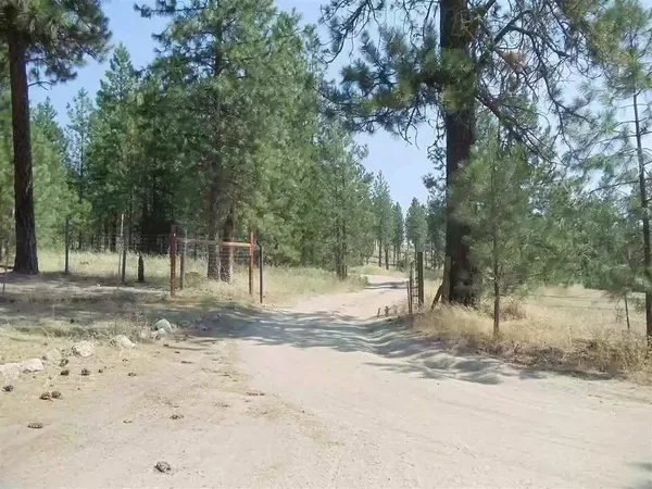 $185,000 | Tbd North Corkscrew Canyon Road, Unit PARCEL A, Tumtum, WA 99034