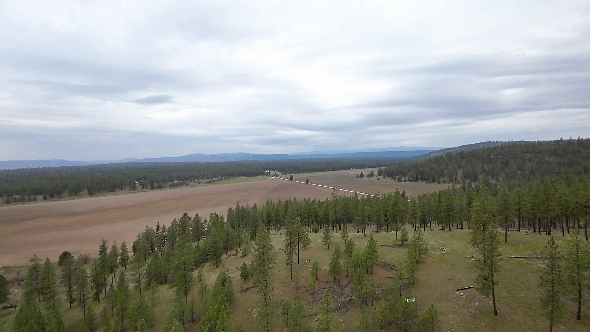 Tbd North Corkscrew Canyon Road, Unit PARCEL A Tumtum, WA 99034 - Photo 11 of 14