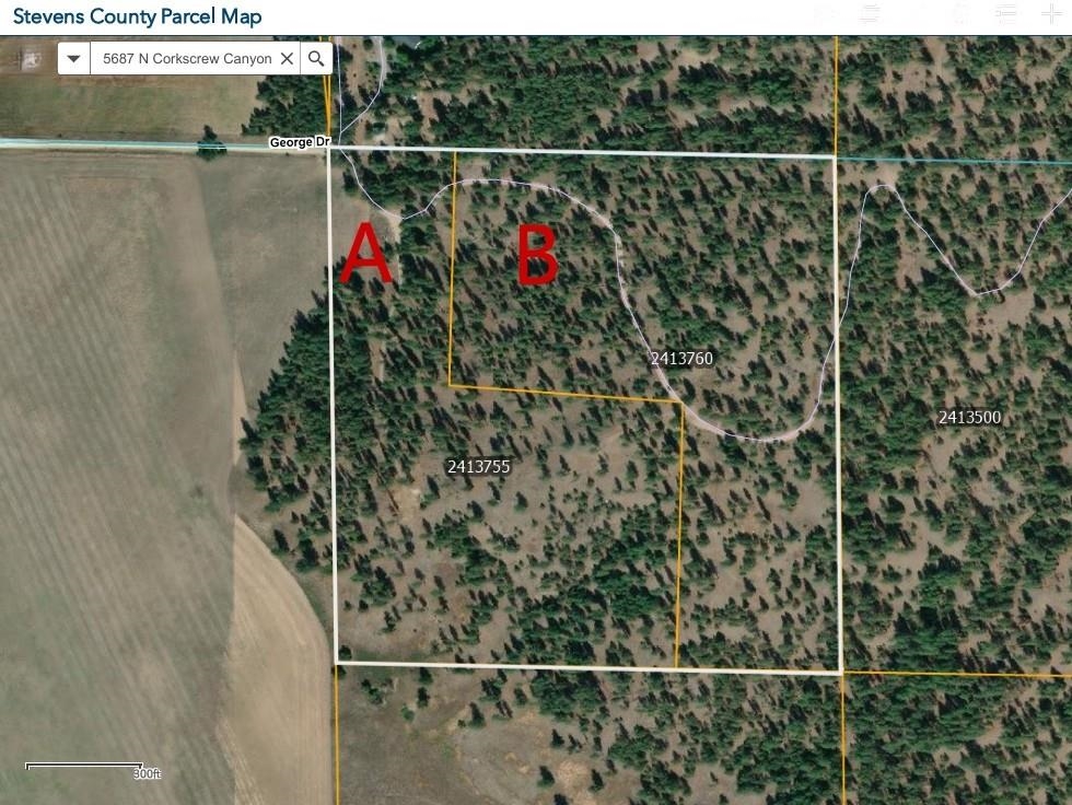 Tbd North Corkscrew Canyon Road, Unit PARCEL A Tumtum, WA 99034 - Photo 13 of 14
