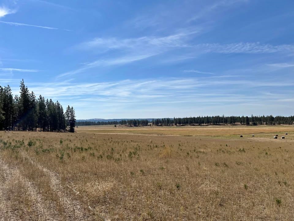 Tbd North Corkscrew Canyon Road, Unit PARCEL A Tumtum, WA 99034 - Photo 2 of 14