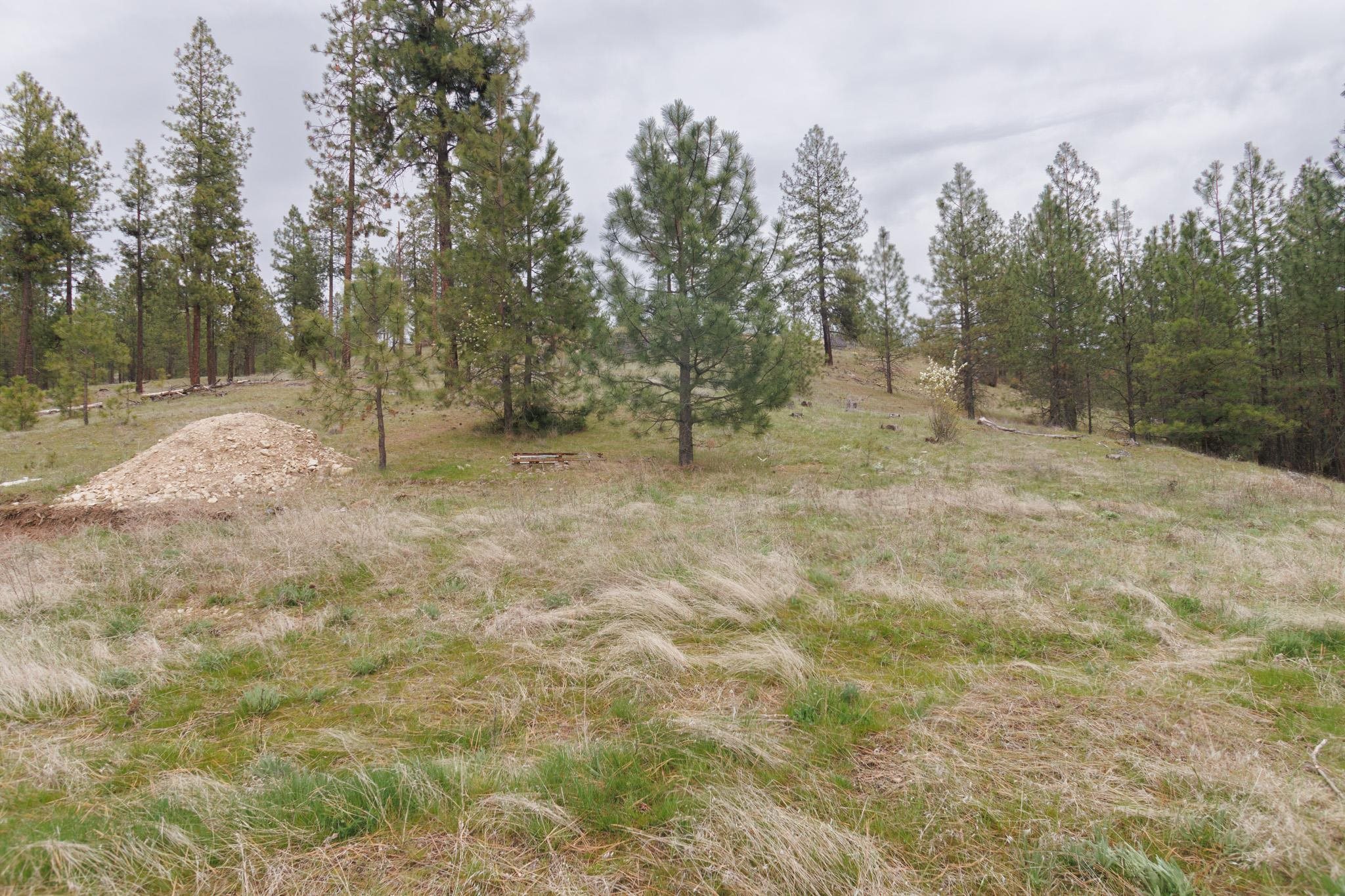 Tbd North Corkscrew Canyon Road, Unit PARCEL A Tumtum, WA 99034 - Photo 6 of 14