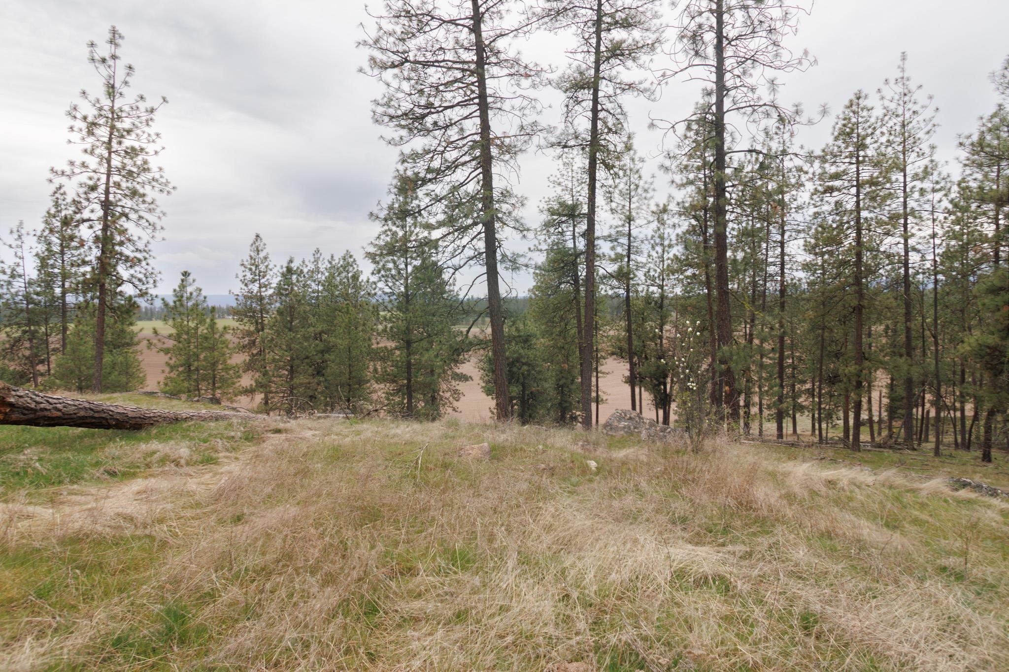 Tbd North Corkscrew Canyon Road, Unit PARCEL A Tumtum, WA 99034 - Photo 8 of 14