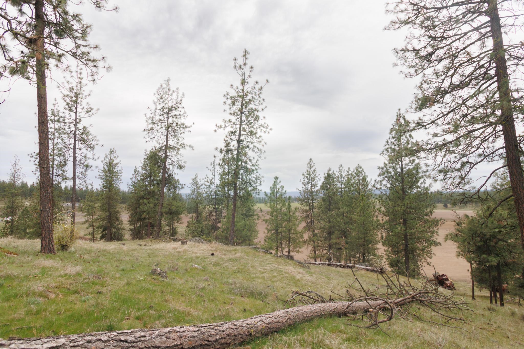 Tbd North Corkscrew Canyon Road, Unit PARCEL A Tumtum, WA 99034 - Photo 9 of 14
