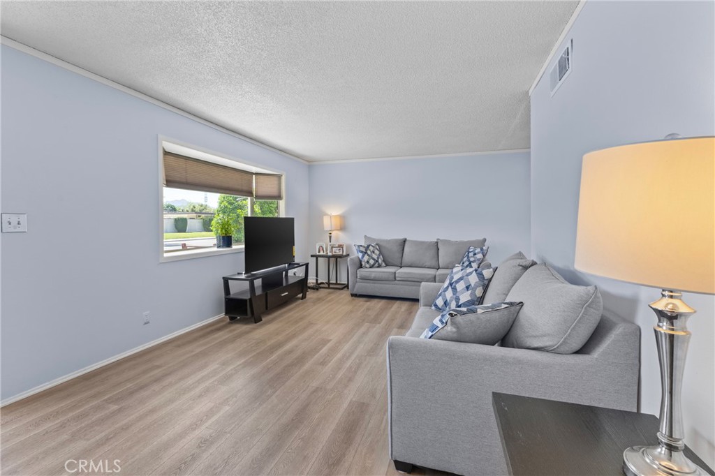 541 Shasta Way Hemet, CA 92543 - Photo 6 of 34 a living room with furniture and a flat screen tv