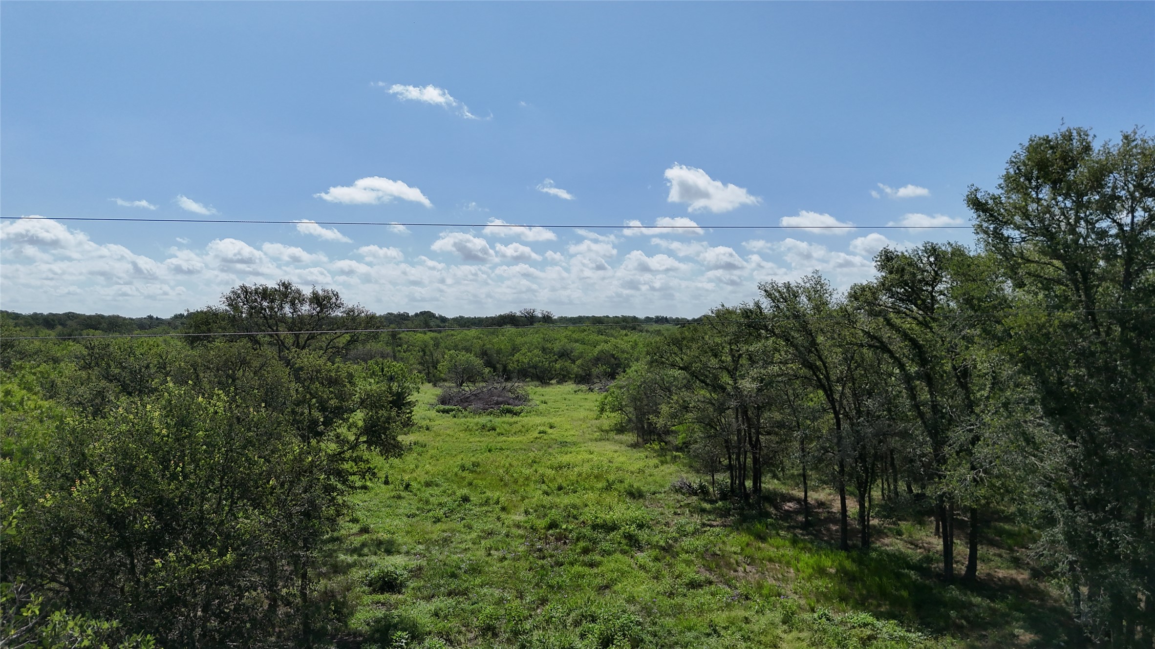 1554 Father Anders Loop Waelder, TX 78959 - Photo 5 of 9 Expansive land featuring lush green areas and mature trees under a clear sky