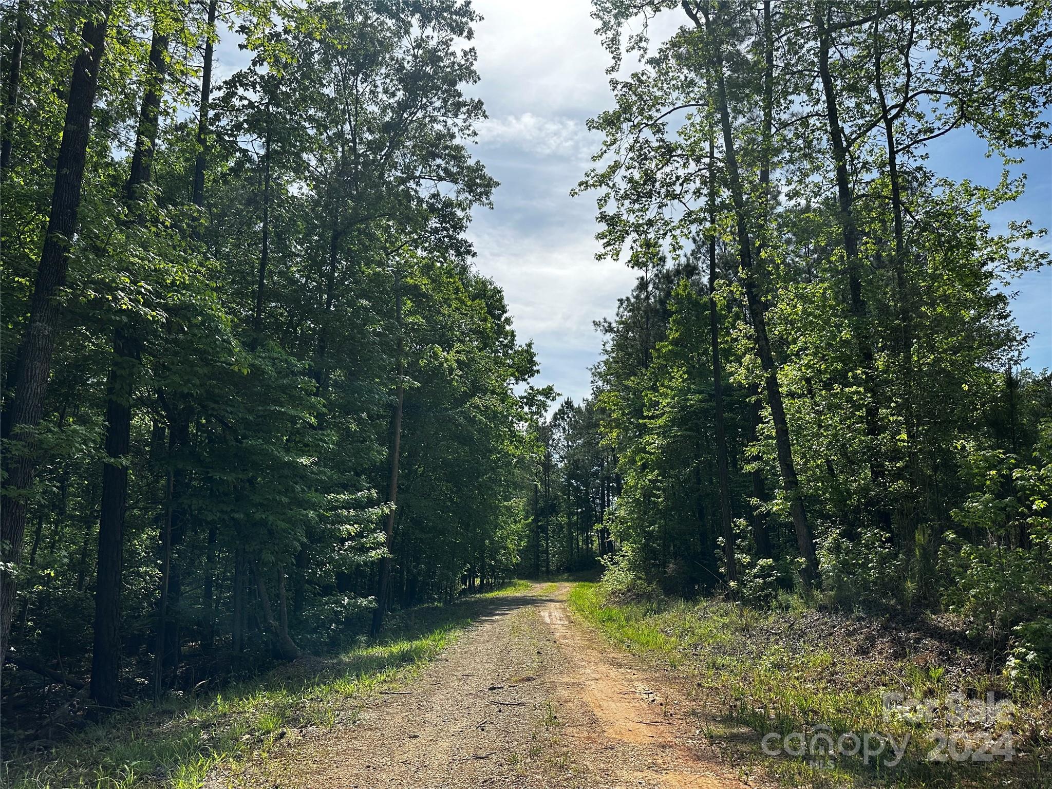 759 Retreat Way Ridgeway, SC 29130 - Photo 21 of 25 a view of a pathway both side of yard