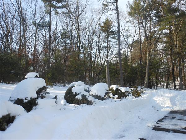 61 Chapman Road Tewksbury, MA 01876 - Photo 4 of 12 Gallery Image 4