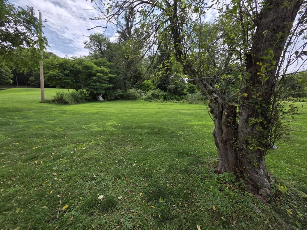 263 Knight Road Rural Retreat, VA 24368 - Photo 7 of 20 Gallery Image 7