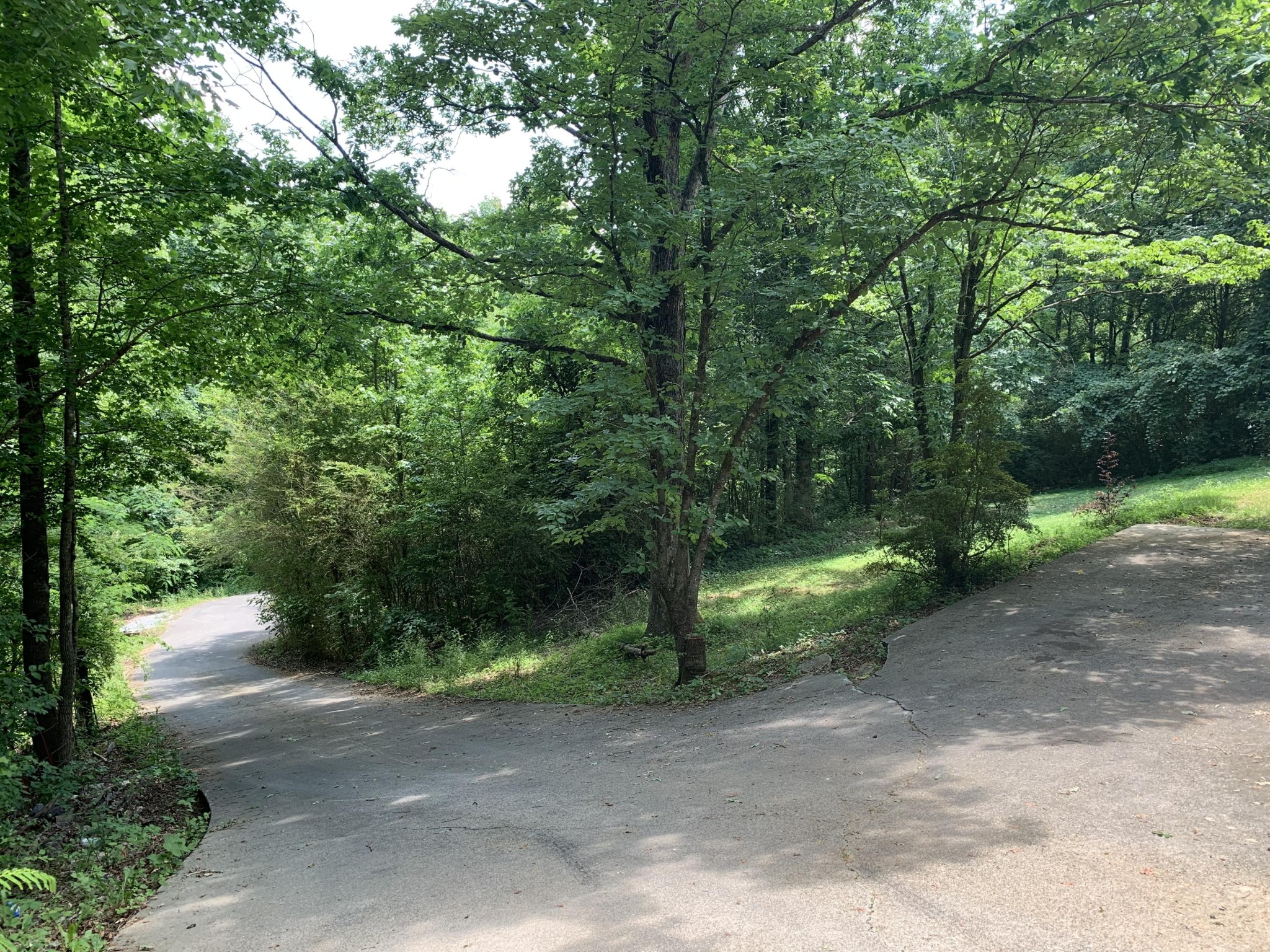 4023 Hatcher Hollow Road Walland, TN 37886 - Photo 39 of 39 Gallery Image 39