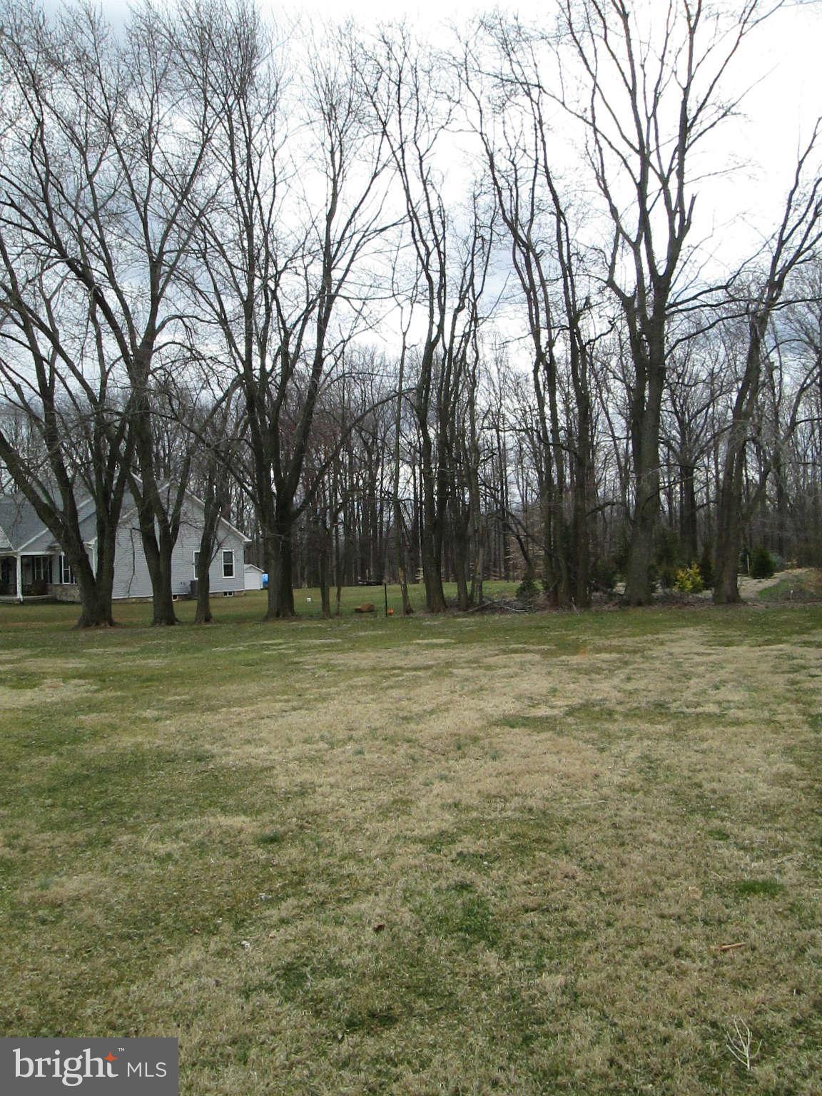 2016 Robertson Road Bel Air, MD 21015 - Photo 6 of 30 BEAUTIFUL TREELINE ACROSS REAR YARD