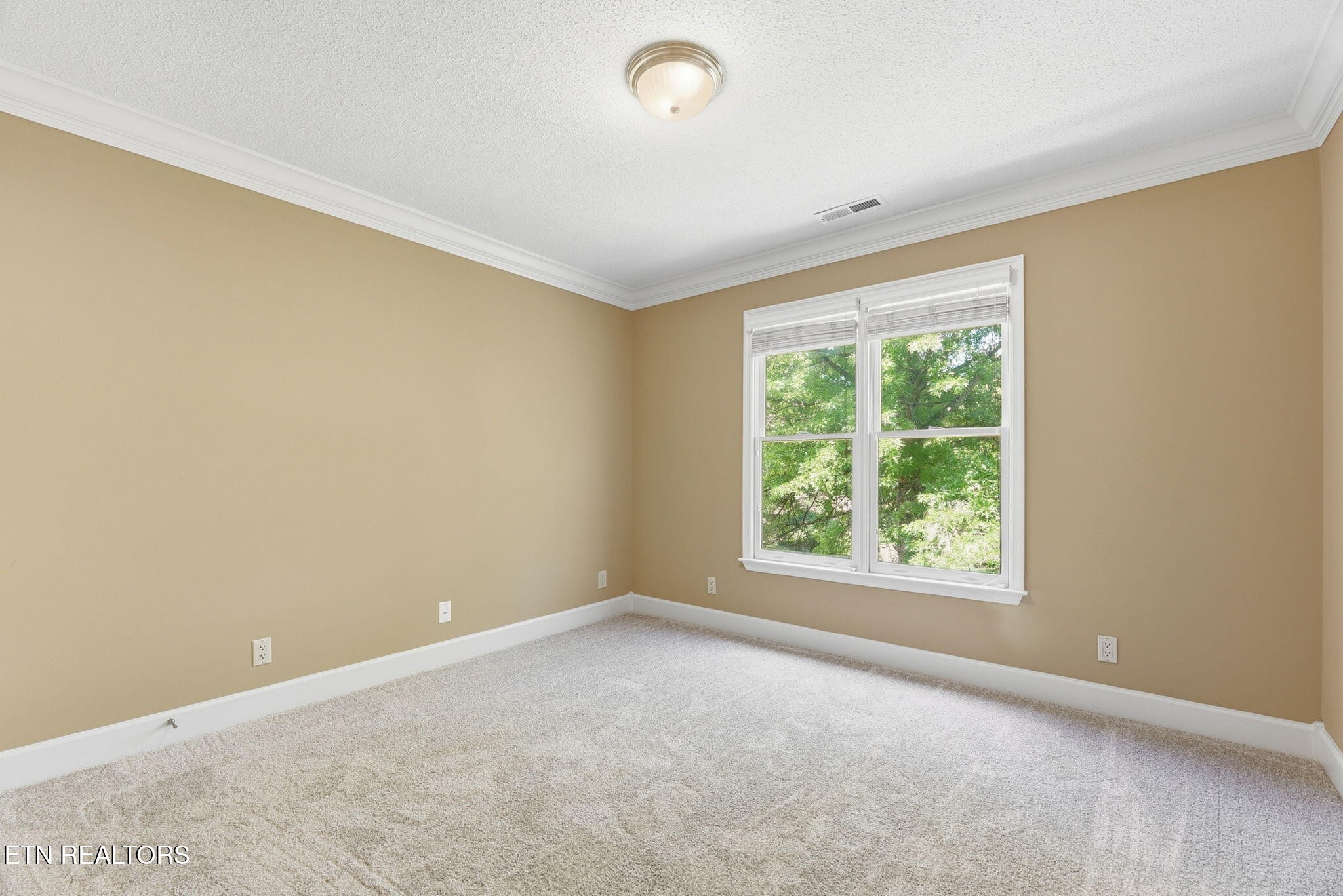 102 Cornell Lane Oak Ridge, TN 37830 - Photo 28 of 49 Gallery Image 28