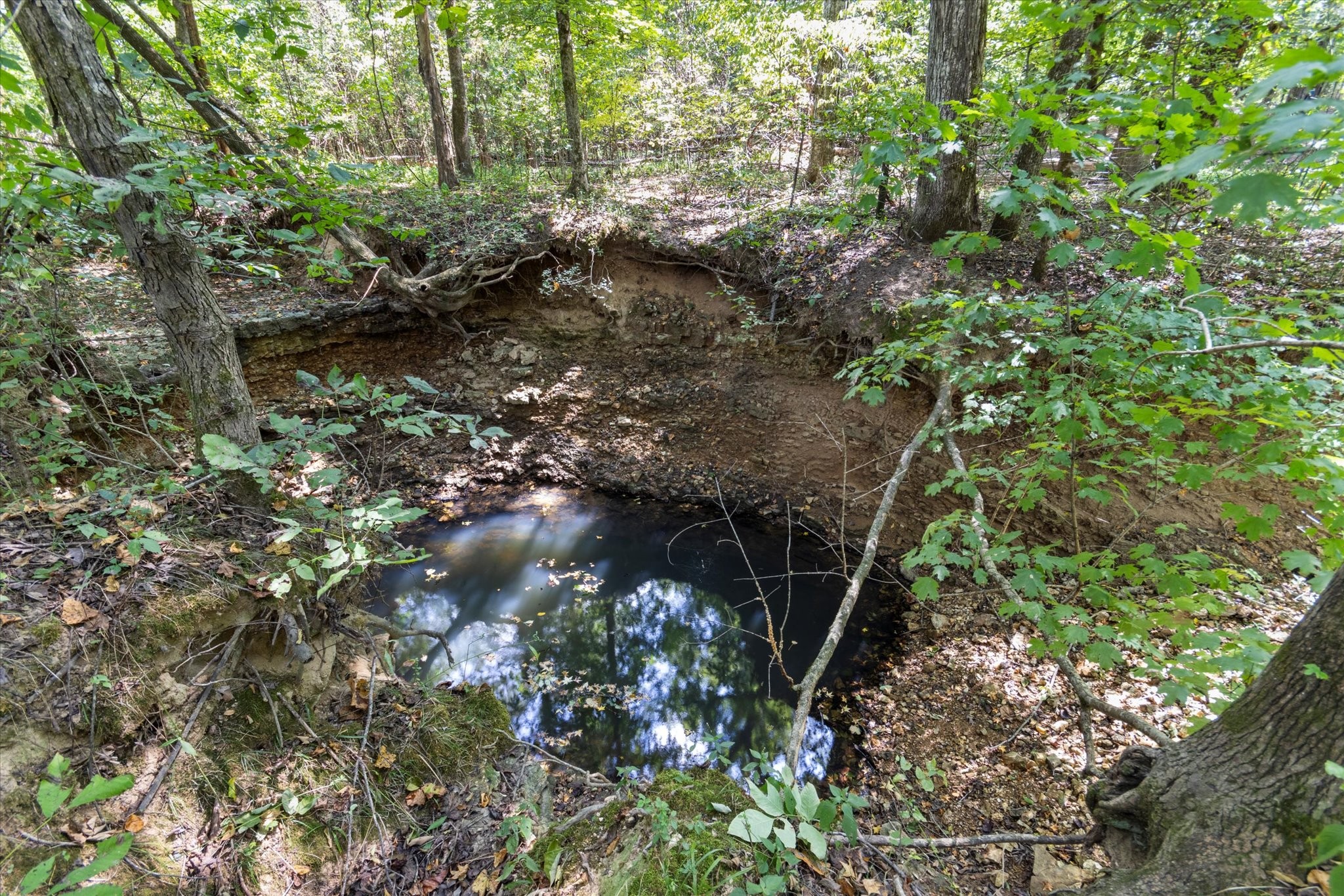 1636 McKee Road Toney, AL 35773 - Photo 38 of 40