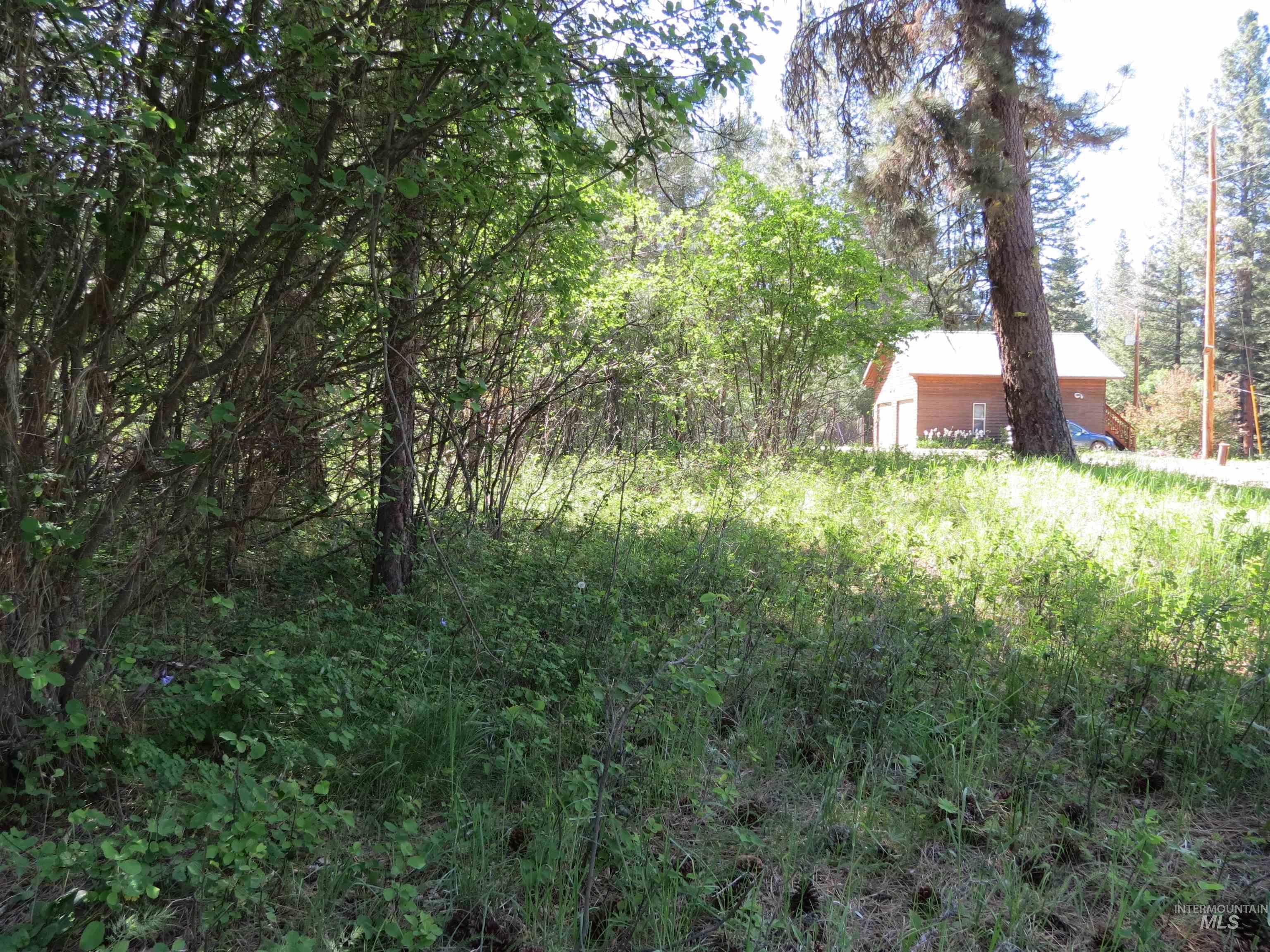 Parcel C Caseys Road Garden Valley, ID 83622 - Photo 9 of 20